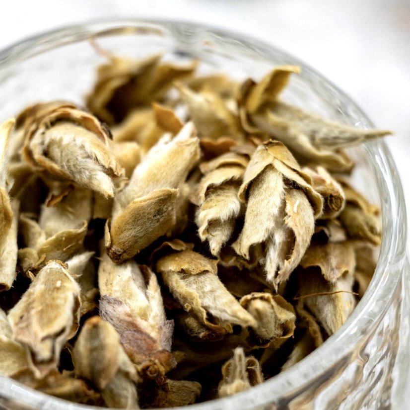 2019 Bílé pupeny z divokých čajovníků ( Ya Bao ) - Gramy: 50 g