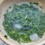 2024 Gyokuro Tohei Shizuoka