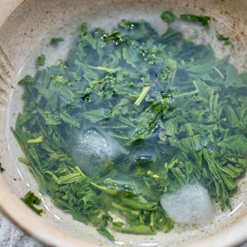 2024 Gyokuro Tohei Shizuoka - Gramy: 25 g