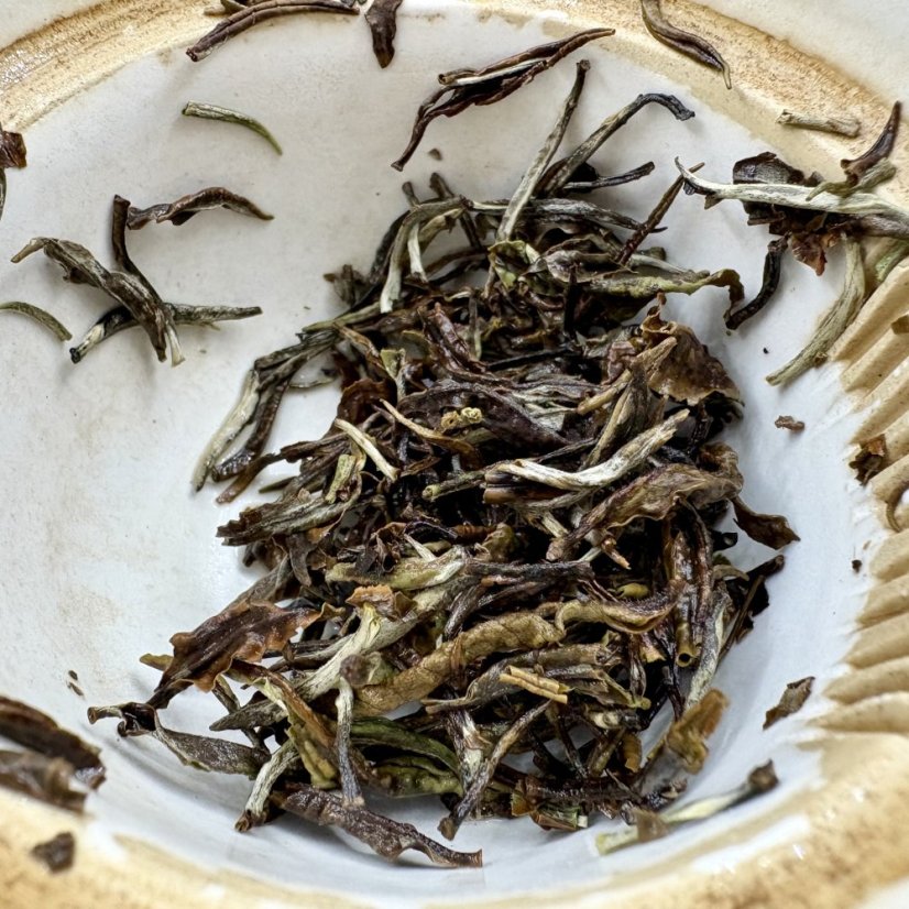 Silver Needle Old Style Organic - zimní sklizeň ekologického čaje ze západní Jávy - Gramy: 100