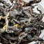 2024 Thailand Gu Shu Gaba Oolong - čaj ze starých čajovníků