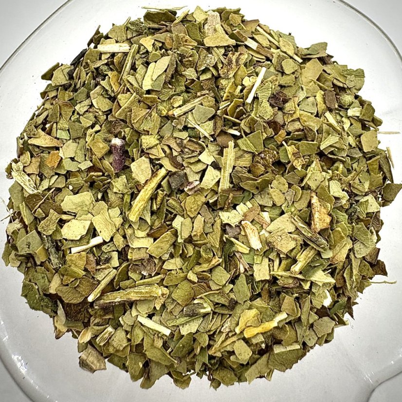 Cesmína Paraguayská - Brazilské Yerba Maté  - Ilex paraguayensis