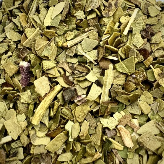 Cesmína Paraguayská - Brazilské Yerba Maté  - Ilex paraguayensis