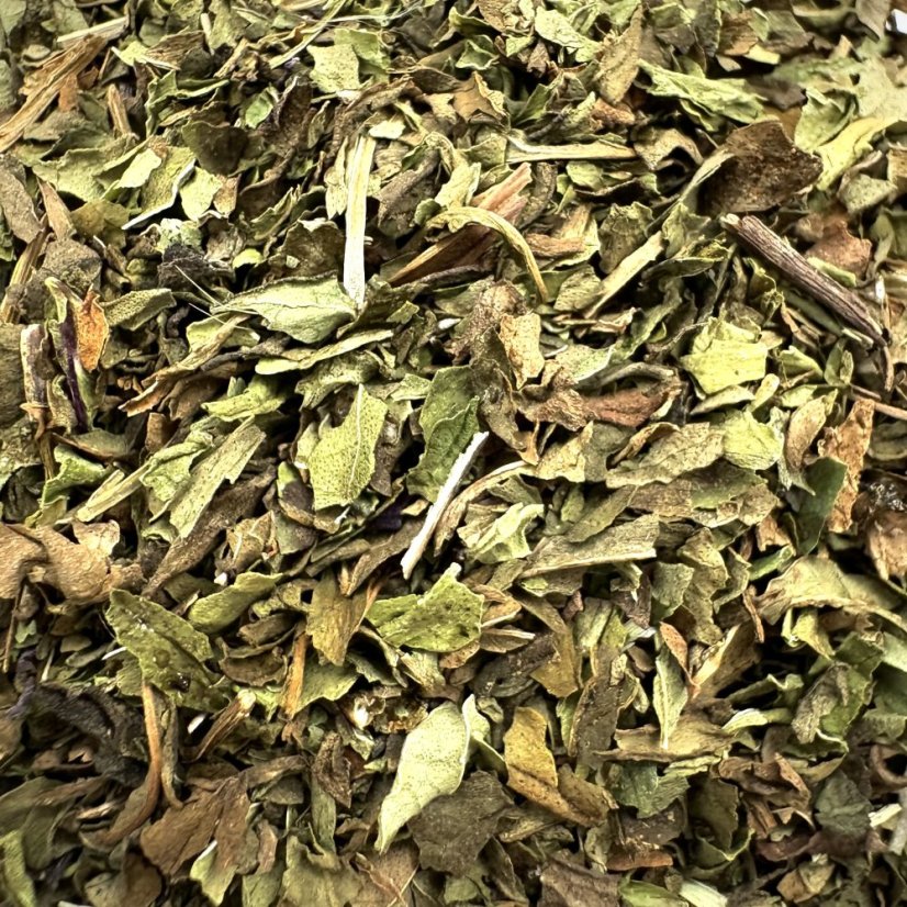 Marocká máta dlouholistá - Mentha Longifolia