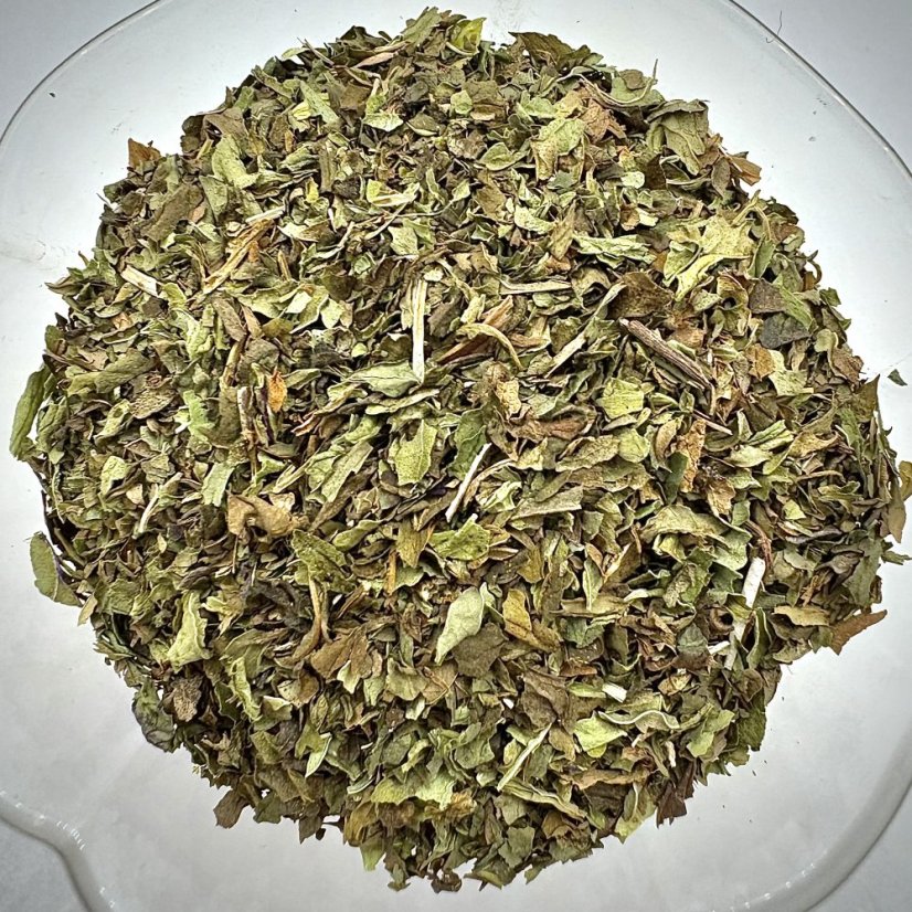 Marocká máta dlouholistá - Mentha Longifolia