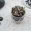 2024 Guangxi Dong Fang Mei Ren - Oriental Beauty