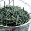 2024 Gyokuro Tohei Shizuoka - mistrovské gyokuro