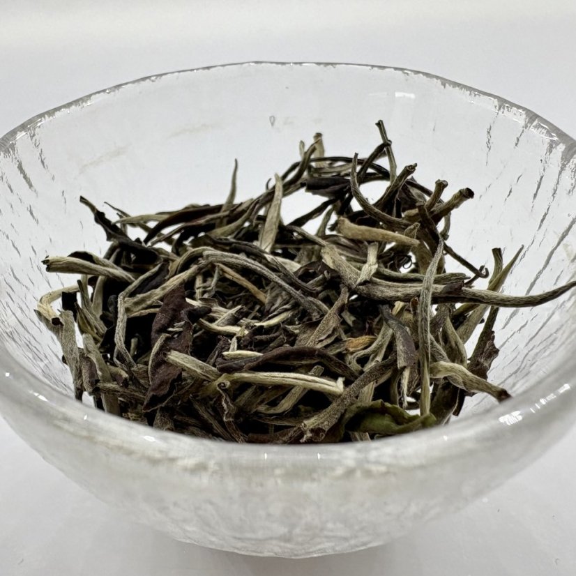 Silver Needle Old Style Organic - zimní sklizeň ekologického čaje ze západní Jávy - Gramy: 100