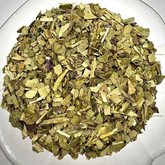 Cesmína Paraguayská - Brazilské Yerba Maté  - Ilex paraguayensis
