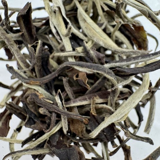 Silver Needle Old Style Organic - zimní sklizeň ekologického čaje ze západní Jávy